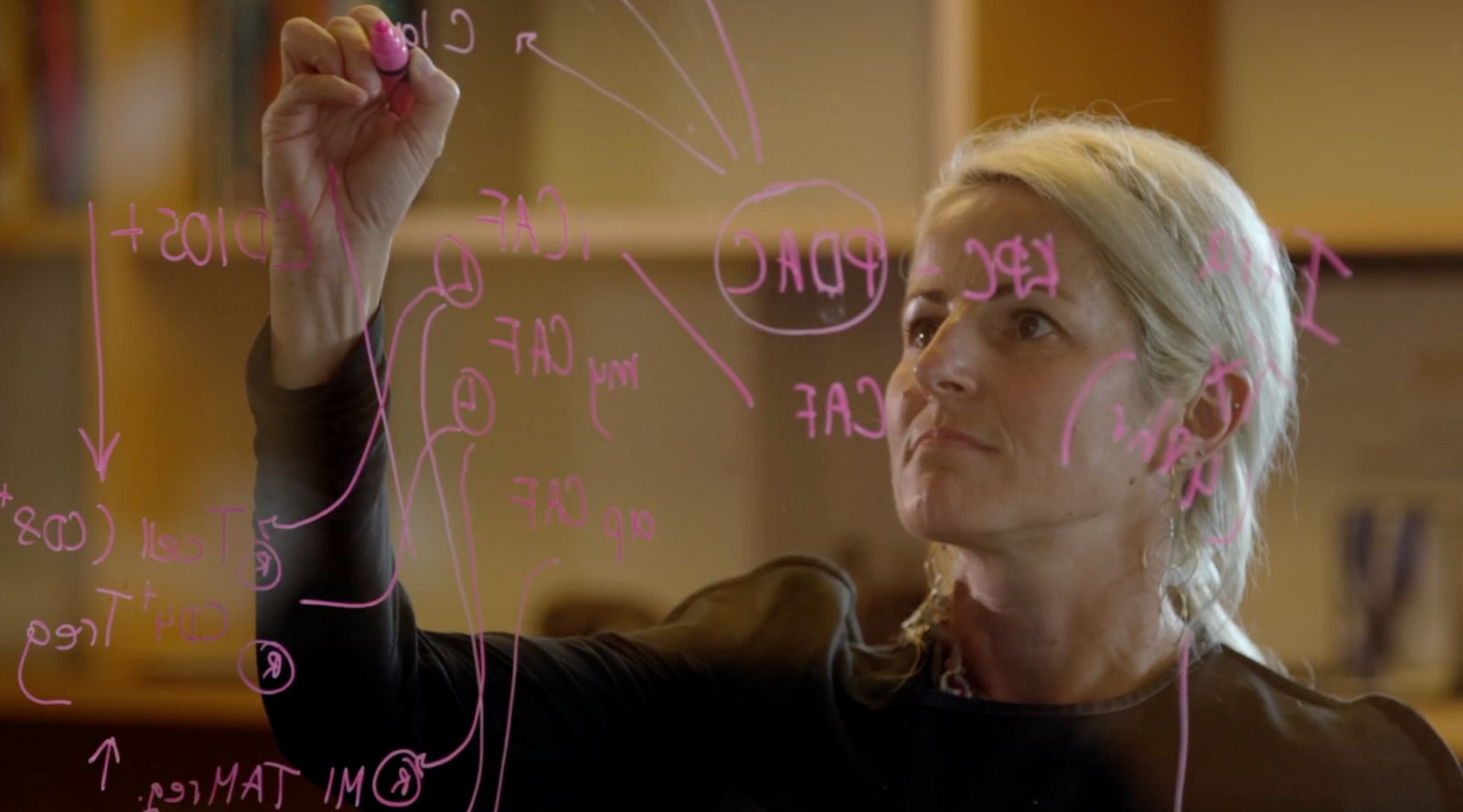 Video still from our Garvan Institute project