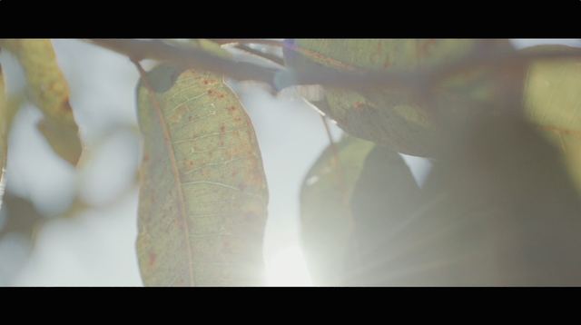 Still from The First to Call Panorama Home